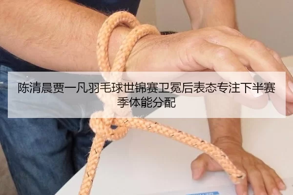 陈清晨贾一凡羽毛球世锦赛卫冕后表态专注下半赛季体能分配